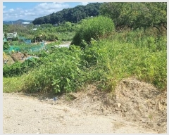  2024Ÿ��15642 ��� ��õ�� ���µ� 498-9       ����(��)���