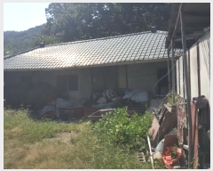  2024Ÿ��16195 ��� ���̽� ����� �۰ 113-1      ����(��1)���