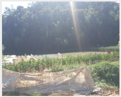  2024Ÿ��16195 ��� ���̽� ����� �۰ 113-1      ����(��1)���