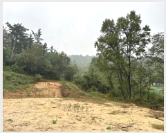  2024Ÿ17167  ̽  182       (1)