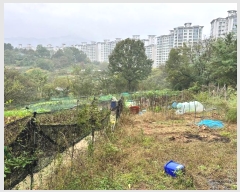  2024Ÿ17167  ̽  182       (1)