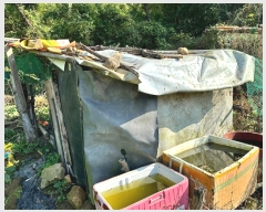  2024Ÿ17167  ̽  182       (1)