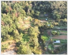  2024Ÿ17167  ̽  182       (1)