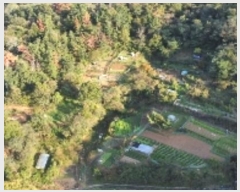  2024Ÿ17167  ̽  182       (1)