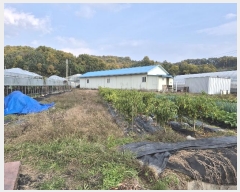  2024Ÿ17426  õ  Ÿ 424      (1)