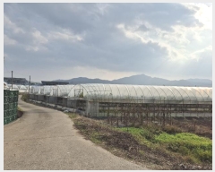  2024Ÿ17426  õ  Ÿ 424      (1)