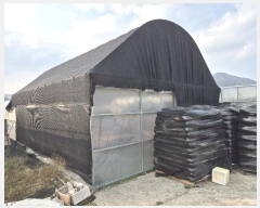  2024Ÿ17426  õ  Ÿ 424      (1)