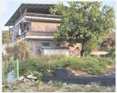  2024Ÿ17426  õ  Ÿ 424      (1)