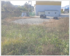  2024Ÿ17464  õ  긮 44-1      (1)