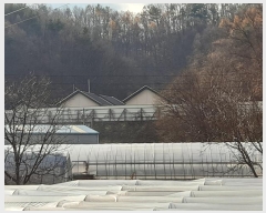  2024Ÿ18047  õ  ȭ 609      ڽü,,ȣ,