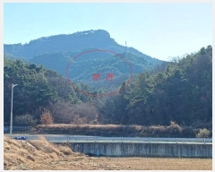  2024Ÿ18122  ̽  14-1       (Ӿ)