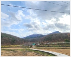  2024Ÿ18122  ̽  14-1       (Ӿ)