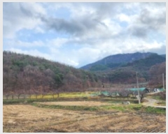  2024Ÿ18122  ̽  14-1       (Ӿ)