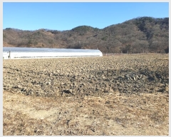  2024Ÿ��18368 ��� ��õ�� ���� ���¸� 471      ����(��)���