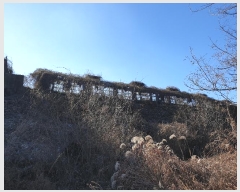  2024Ÿ18368  õ   149-12      (󰡽ü)