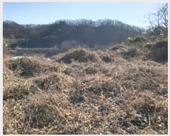  2024Ÿ18368  õ   149-12      (󰡽ü)