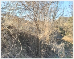  2024Ÿ18368  õ   149-12      (󰡽ü)