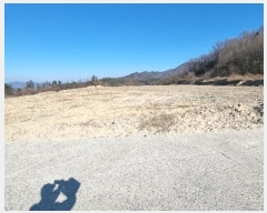  2024Ÿ��18412 ��� ��õ�� ������ �ſո� 1356      ����(�������)���