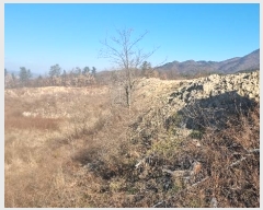  2024Ÿ��18412 ��� ��õ�� ������ �ſո� 1356      ����(�������)���