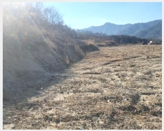  2024Ÿ��18412 ��� ��õ�� ������ �ſո� 1356      ����(�������)���