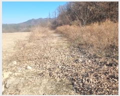  2024Ÿ��18412 ��� ��õ�� ������ �ſո� 1356      ����(�������)���