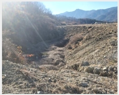  2024Ÿ��18412 ��� ��õ�� ������ �ſո� 1356      ����(�������)���