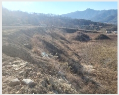  2024Ÿ��18412 ��� ��õ�� ������ �ſո� 1356      ����(�������)���