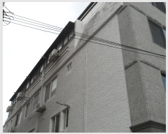  2024Ÿ18511  ̽  1038-14       ܵ,ð