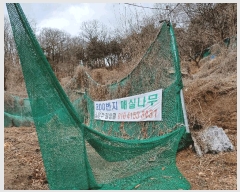  2024Ÿ��794 ��� ���̽� �Ӽ��� 300       ����(��)���