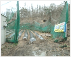  2024Ÿ��794 ��� ���̽� �Ӽ��� 300       ����(��)���