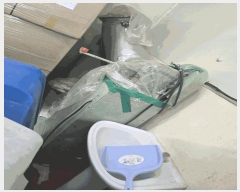  2024Ÿ1650  õ  ȭ 99-1      