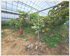  2024Ÿ2738  õ  820-1       (1)