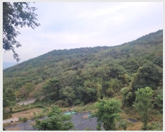  2024Ÿ2844  ̽  29       (Ӿ)