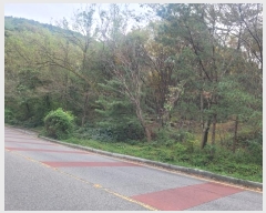  2024Ÿ2844  ̽  29       (Ӿ)