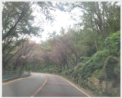  2024Ÿ2844  ̽  29       (Ӿ)