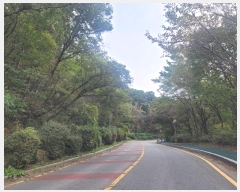  2024Ÿ2844  ̽  29       (Ӿ)