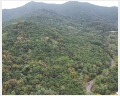  2024Ÿ2844  ̽  29       (Ӿ)