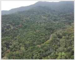  2024Ÿ2844  ̽  29       (Ӿ)