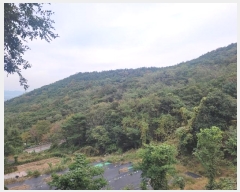  2024Ÿ2844  ̽  29       (Ӿ)