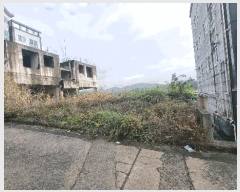  2024Ÿ��2981  �������