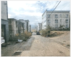  2024Ÿ��2981  �������