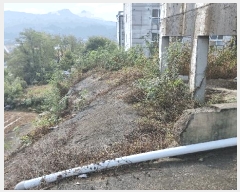  2024Ÿ��2981  �������