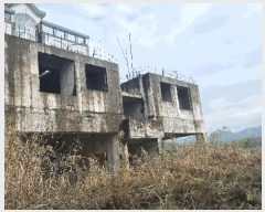  2024Ÿ��2981  �������