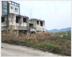  2024Ÿ��2981  �������