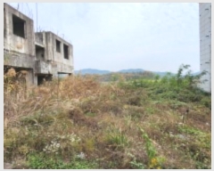  2024Ÿ��2981  �������