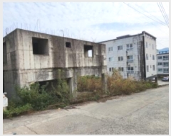  2024Ÿ��2981  �������