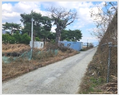  2024Ÿ��3182  ����