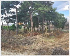  2024Ÿ��3182  ����