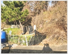  2024Ÿ��3182  ����