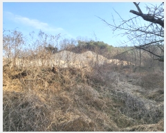  2024Ÿ3243  õ Ҹ  57-3      (Ӿ)